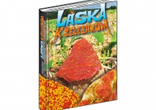 nase-knihy-007-laska-k-zelezakum